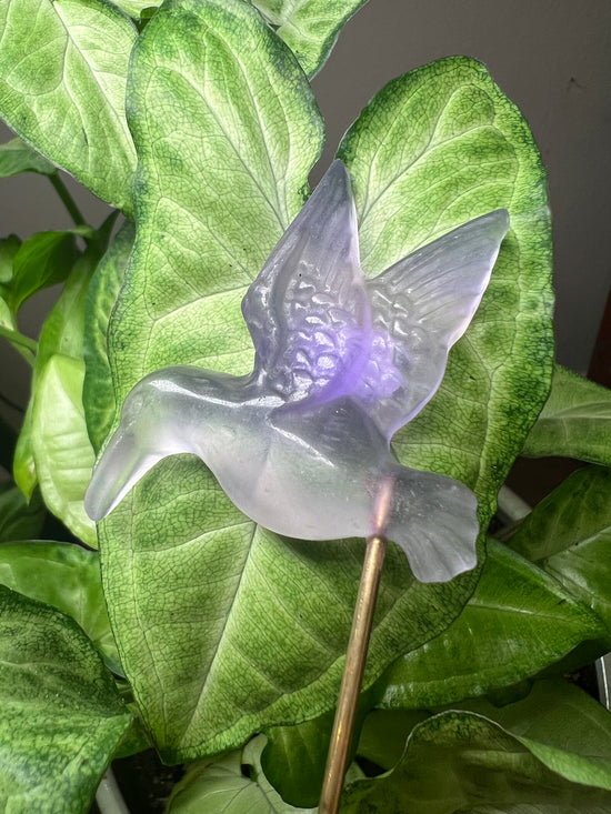 Fluorite Hummingbird Plant Crystal