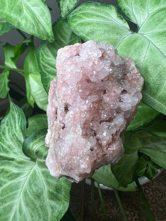 Pink Amethyst Plant Crystal