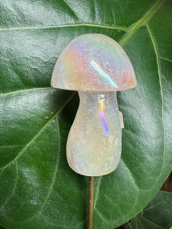 2/15 Angel Aura Quartz Mushrooms