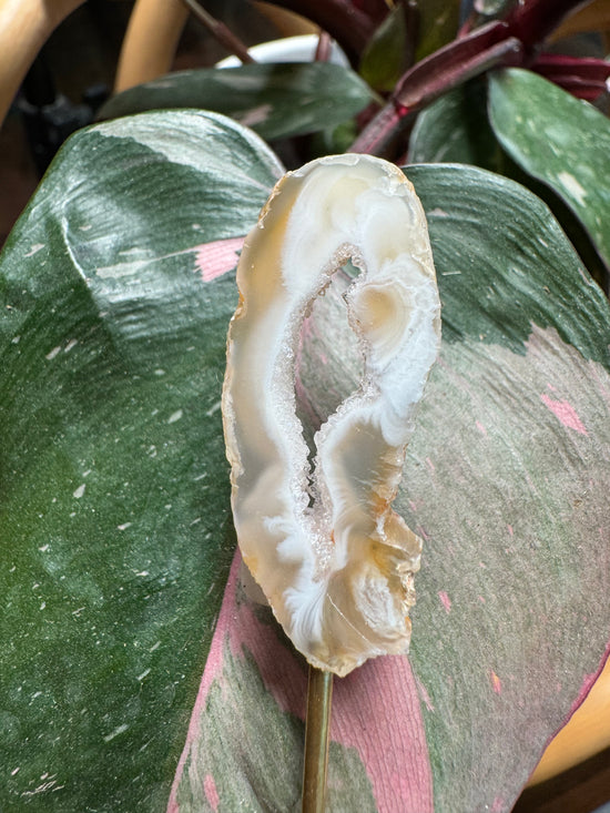 Alyssa - Mini Agate + FREE Mini Plant Crystal