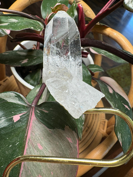 Diana - Quartz Trellis