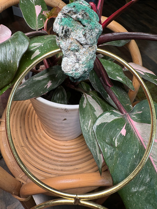 Felecia - Fuschite Trellis