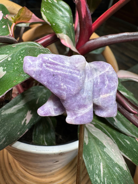 10/27 Lepidolite Bear