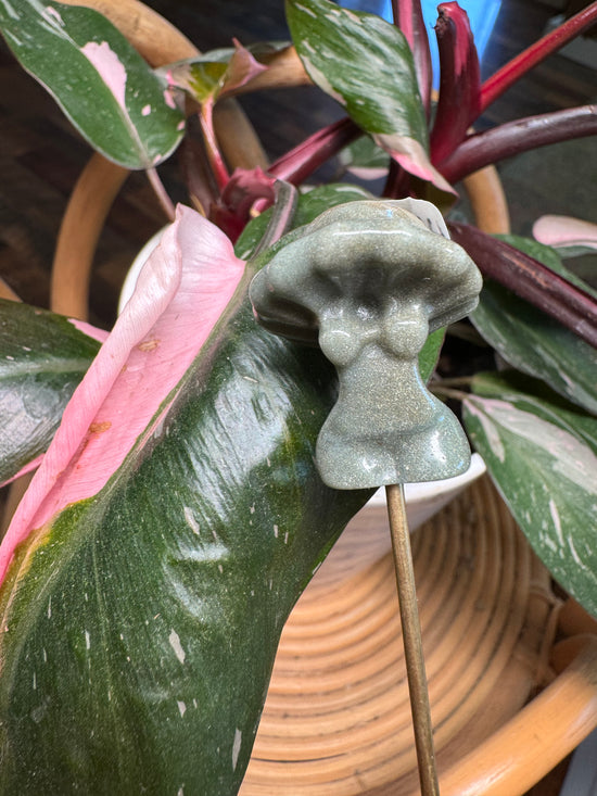 Linette - Mini Moss Agate Mushroom Goddess