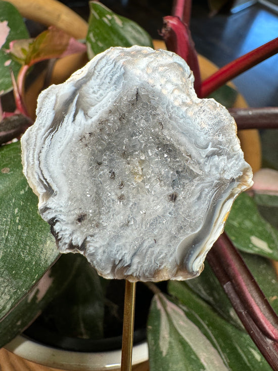 Ashley - Mini Agate