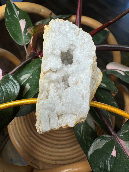 Lauren - Moroccan Quartz Trellis
