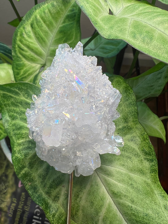 AAA Angel Aura Cluster