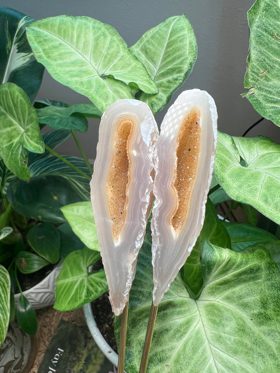 Bonded Geode Pair