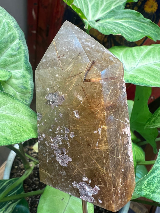 Gold Rutile Quartz