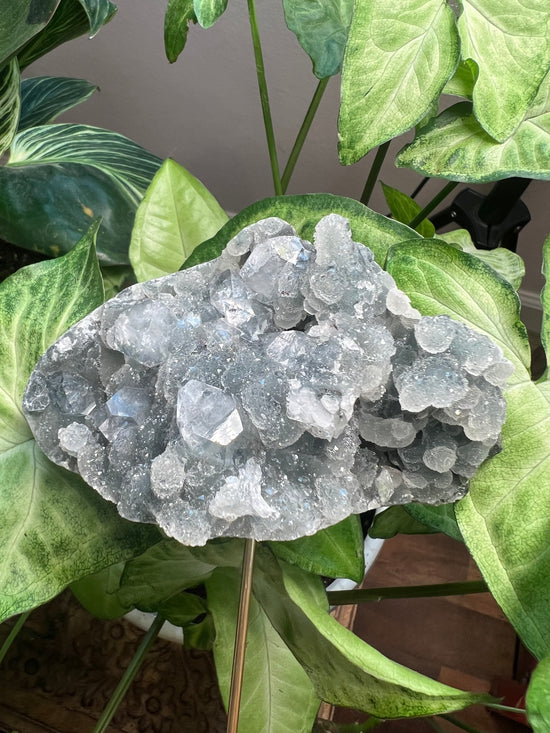 Rare Blue Apophylite