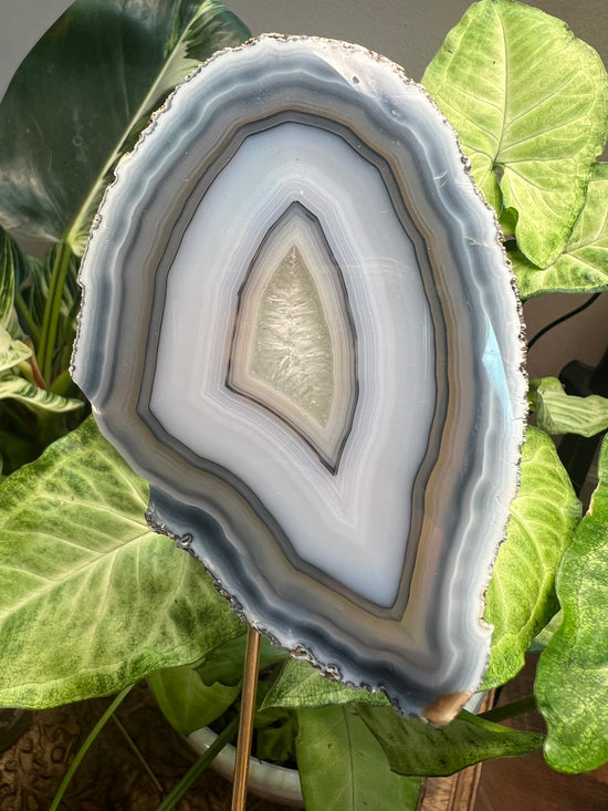 Blue Lace Agate