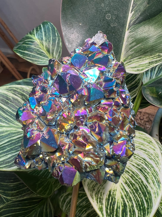 Large Aura Titanium Cluster