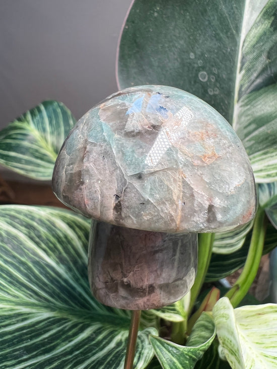 Amazonite Mushroom