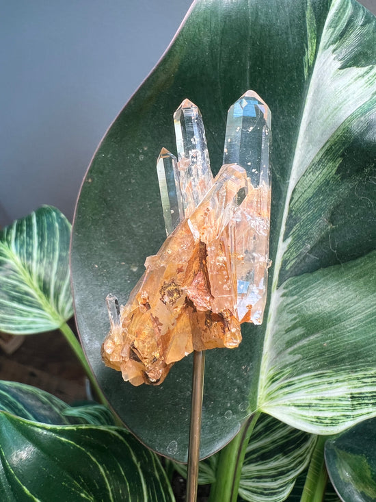 Mango Quartz