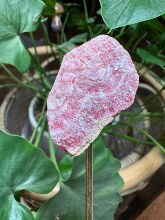 Alayna - Rhodochrosite