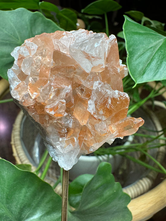 Tangerine Quartz