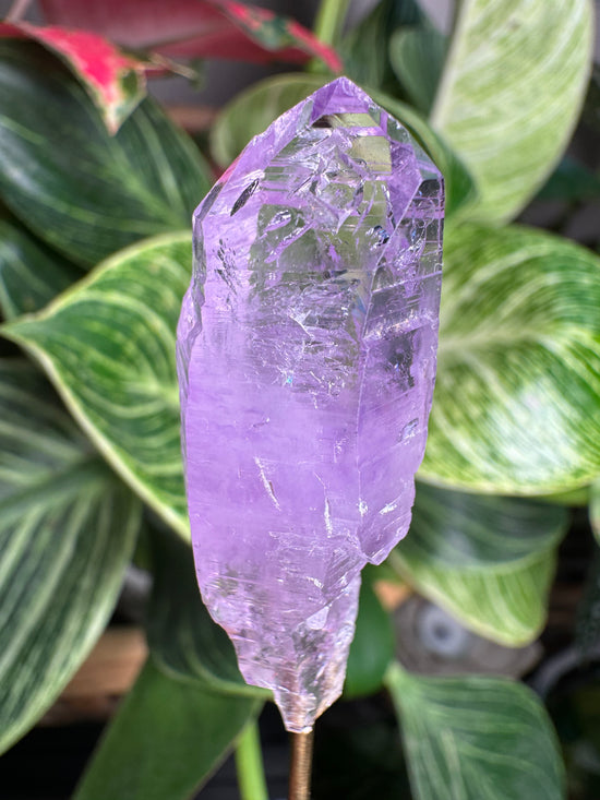 1/21 Lavender Quartz Point