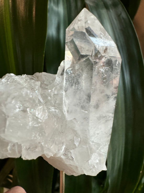 Premium Large Quartz