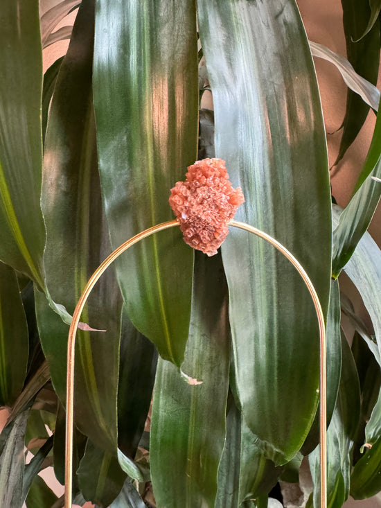 Aragonite Trellis