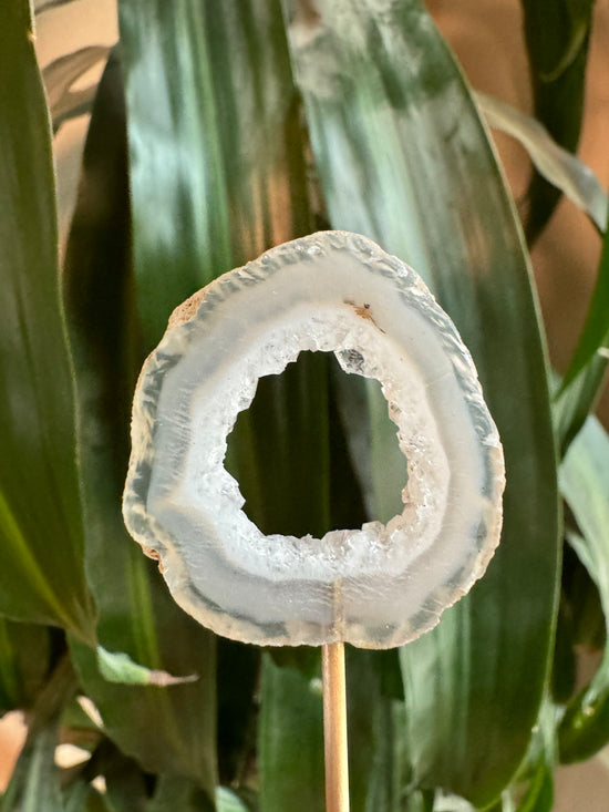 mini Agate with portal