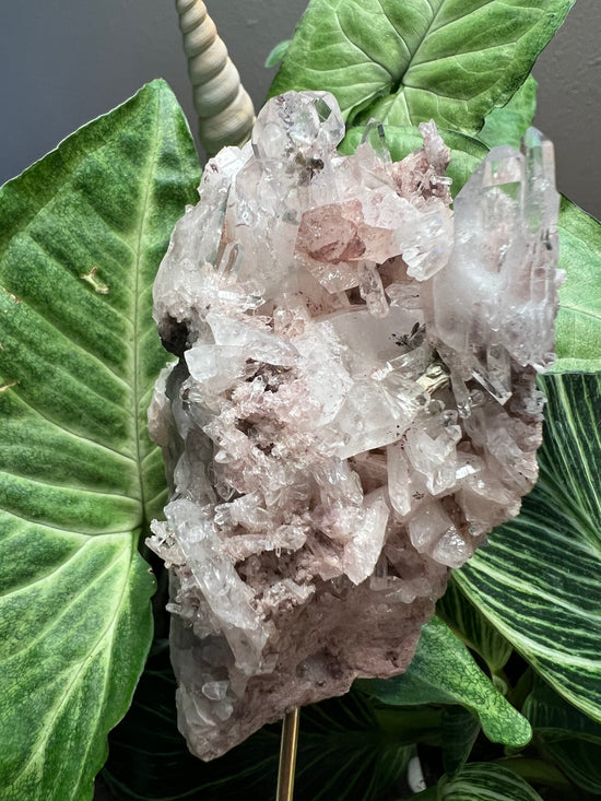 Pink Lemurian Cluster