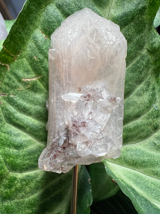 Pink Apophylite