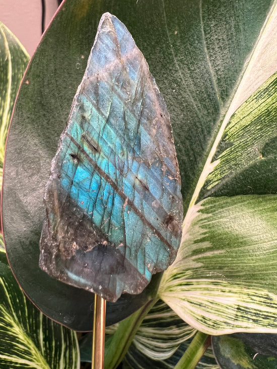 Labradorite