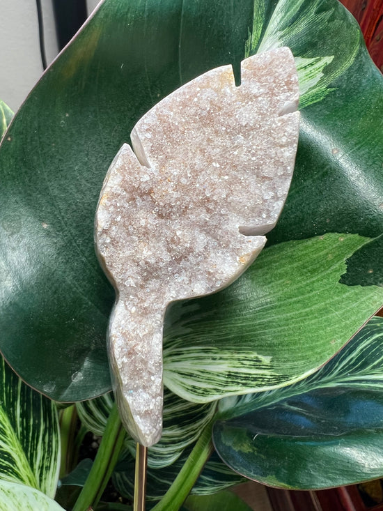 Leaf Druzy large