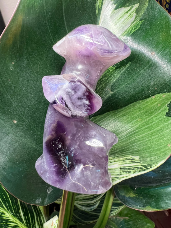 GIVEAWAY WINNER Amethyst Mushroom Family