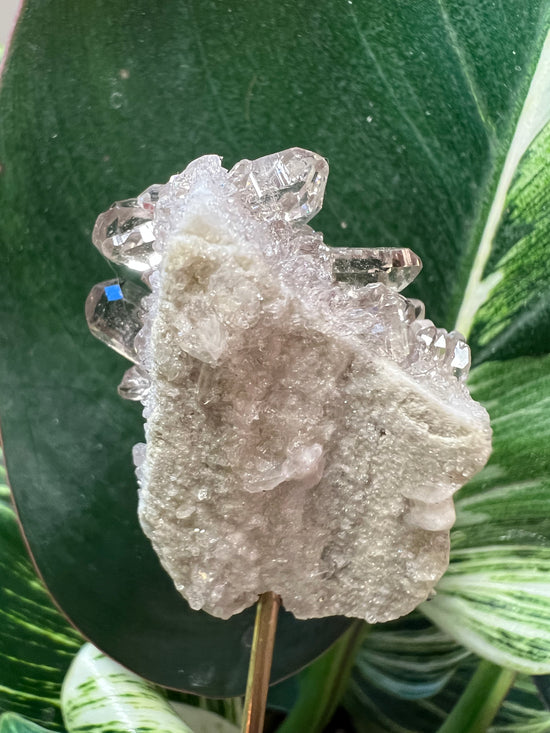 Pink Lemurian Cluster