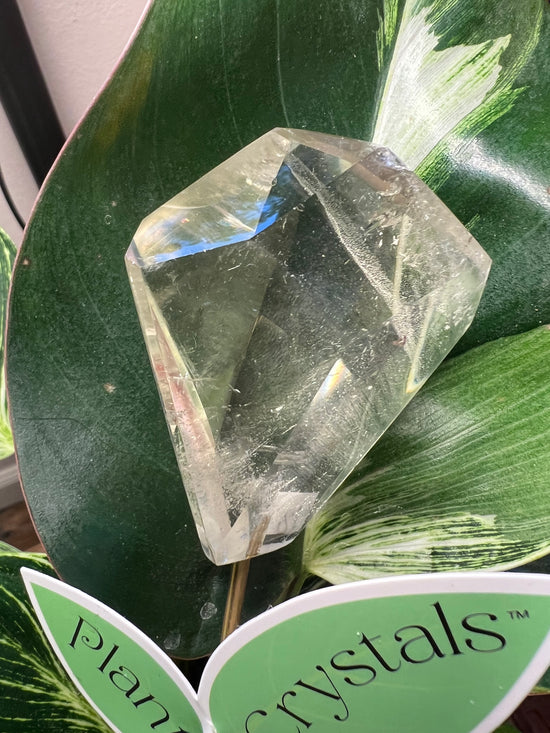 Lemon Quartz Plant Crystal