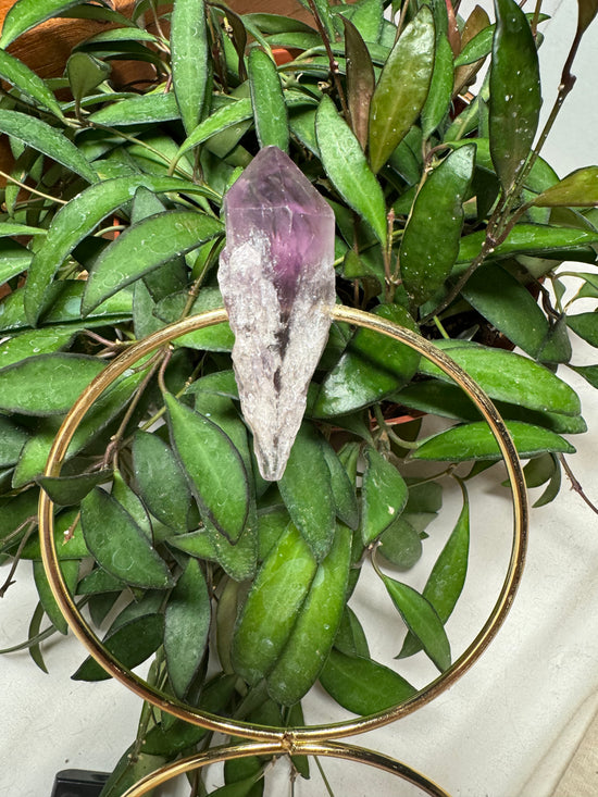 Brenda Amethyst Trellis