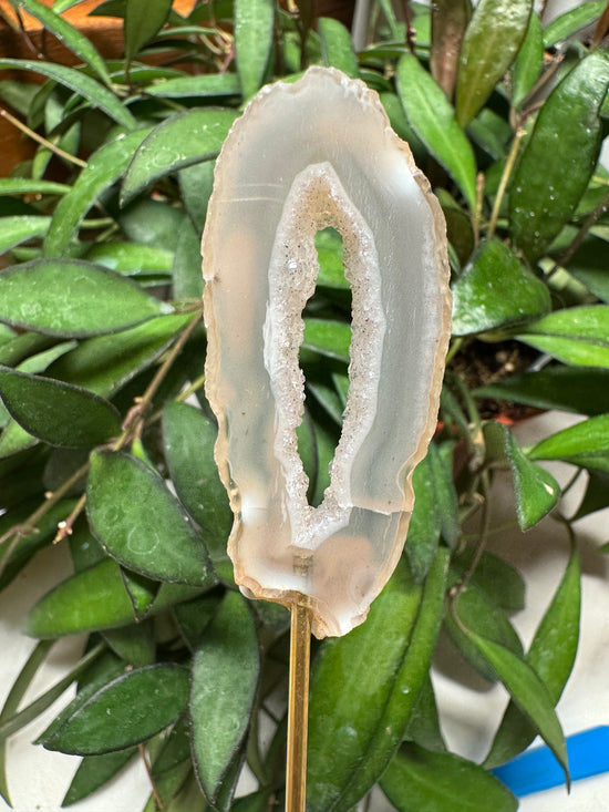 Mari Mini Agate
