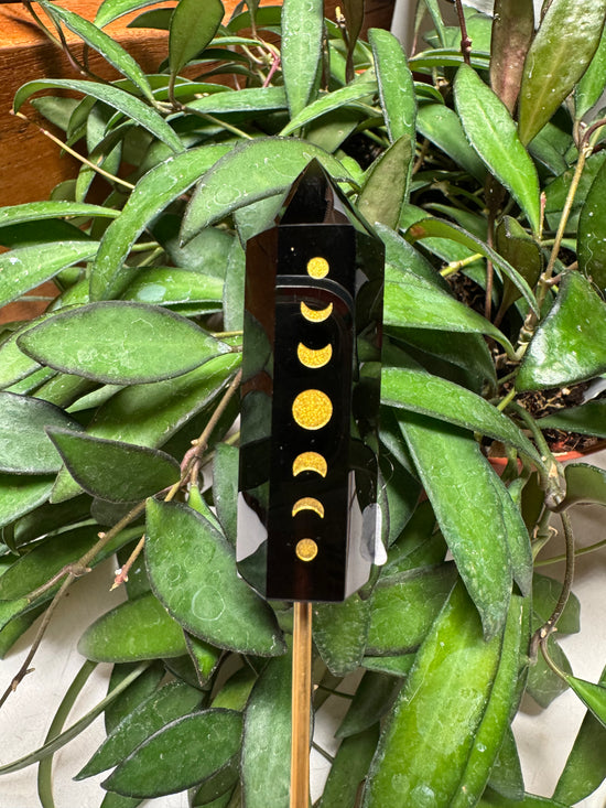 Reserved for Erika - Moonphase Obsidian w/ FREE mini Plant Crystal