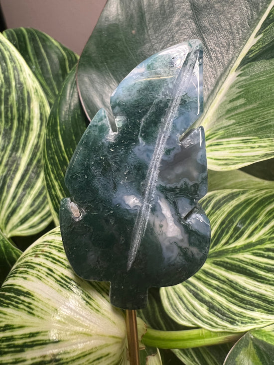 Leaf Moss Agate