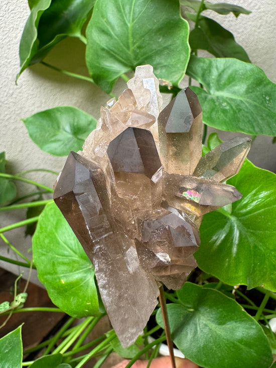 3/10 Smokey Quartz