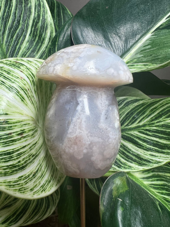 Flower Agate Mushroom Plant Crystal