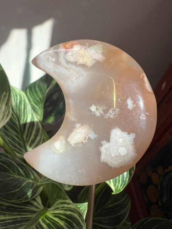 Flower Agate Moon