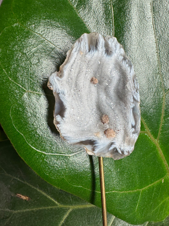 2/11 Mini Agate Geode 42