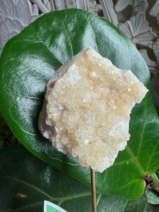 2/11 Citrine cluster