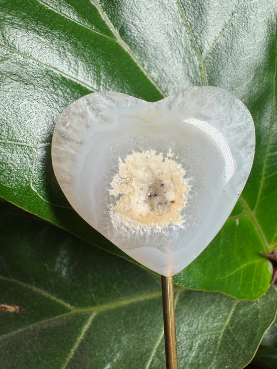 2/11 Agate Heart