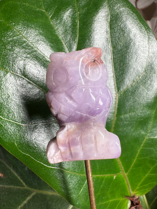 2/11 Amethyst Owl