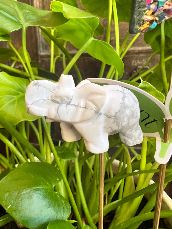 White Howlite carved Elephant Plant Crystal