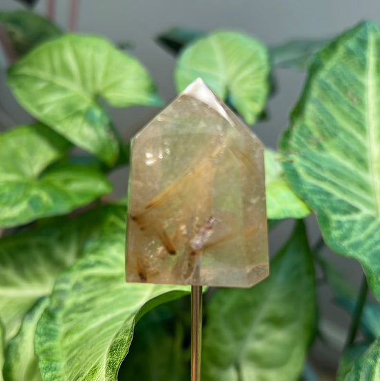 8/6 Gold Rutilated Quartz