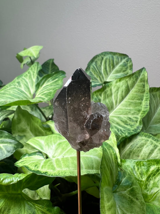 Smokey Quartz Plant Crystal