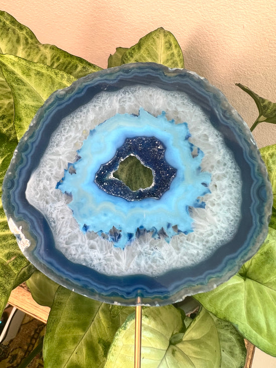 7/16 Large Blue Agate Plant Crystal