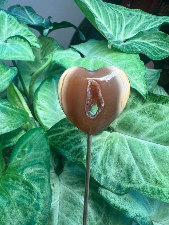 8/6 Agate Heart Plant Crystal