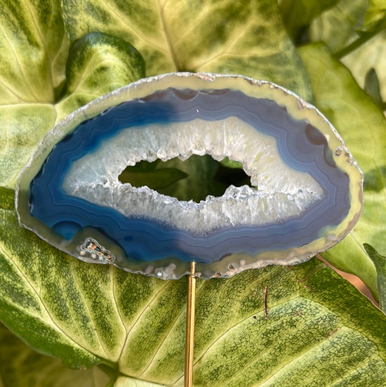 7/14 Blue Agate Plant Crystal