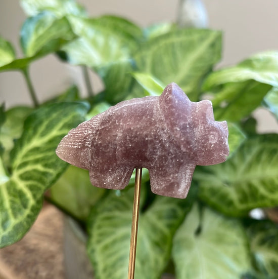 7/12 Lepidolite Dino