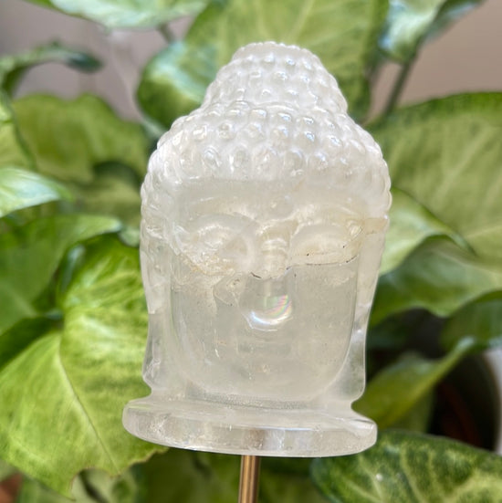 *Buddha who noes things Plant Crystal